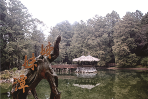 대만 남부[가오슝/아리산] 4일(노쇼핑/관쯔링머드온천/몽시대 대관람차)